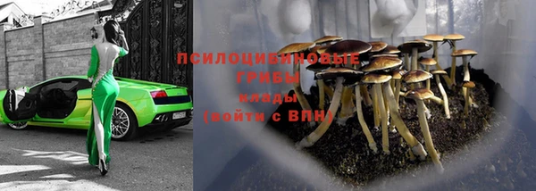 ALPHA PVP Алзамай