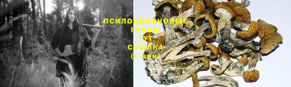 индика Алексеевка